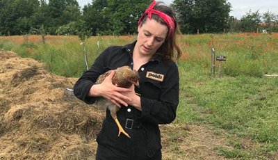 Adéla Šípová se slepicí