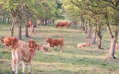 O krajině a zemědělství se sedlákem pod Milešovkou