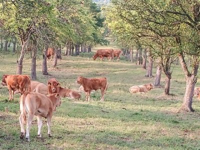 Farma pod Milešovkou