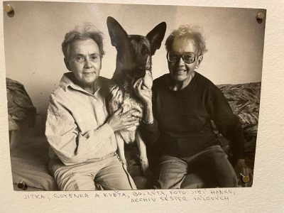 Sestry Válovy se psem Goyenka