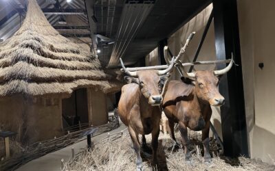 Vydejte se na unikátní výstavu Archevita – Stopami věků