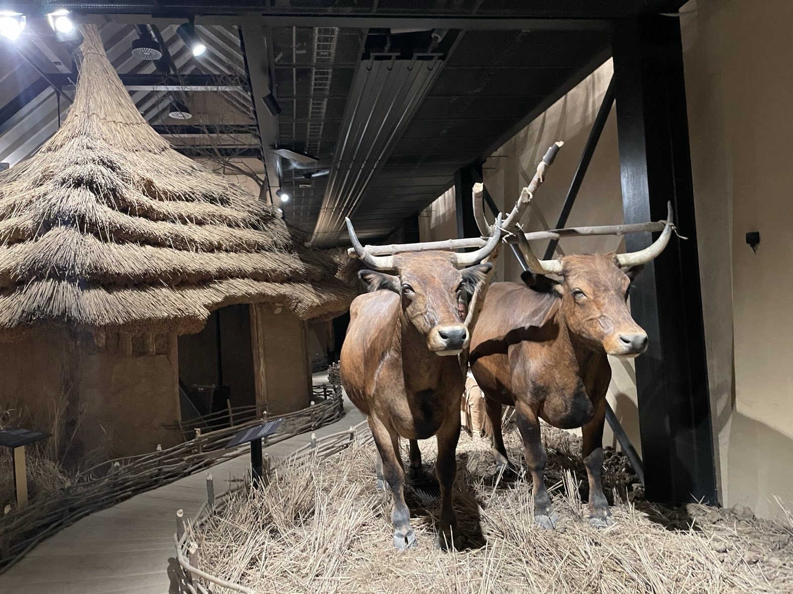 Výstava Archevita — Stopami věků Výstava Archevita — Stopami věků