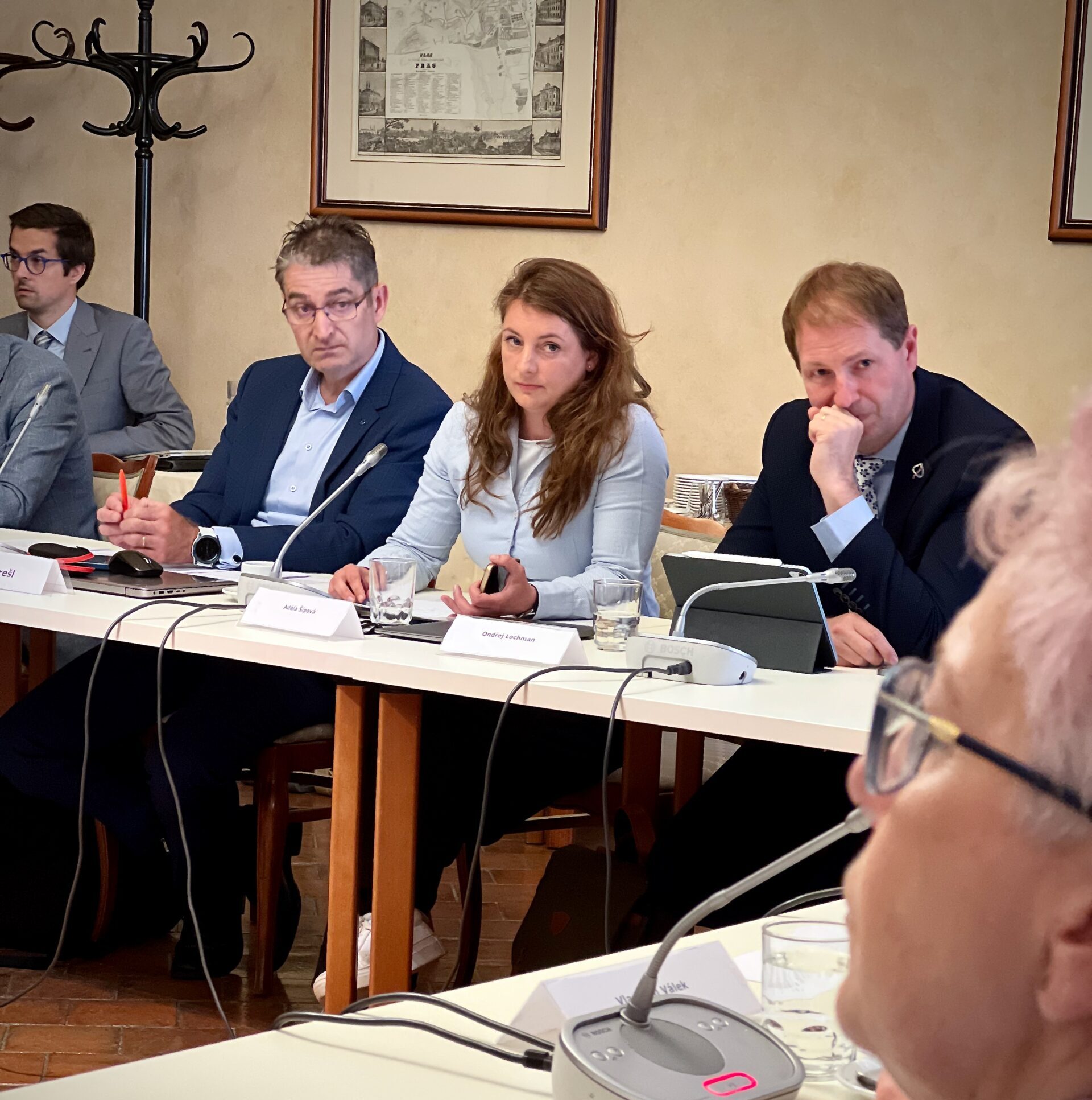 Senátorka Adéla Šípová spolu s dalšími senátory na zdravotnickém výboru. Senátorka Adéla Šípová spolu s dalšími senátory na zdravotnickém výboru.